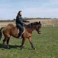 Anden særlig race Chiquitha R.I.P minskath†