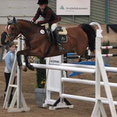 Anden særlig race Cindy R.I.P