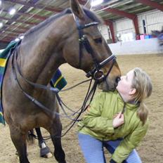 Anden særlig race Romeo R.I.P.