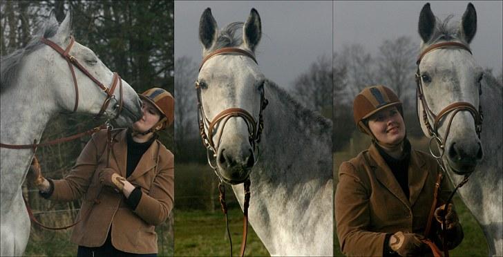 Dansk Varmblod Hoeck's Corina *For evigt elsket <3* - En af vores første træningsdage :) billede 45