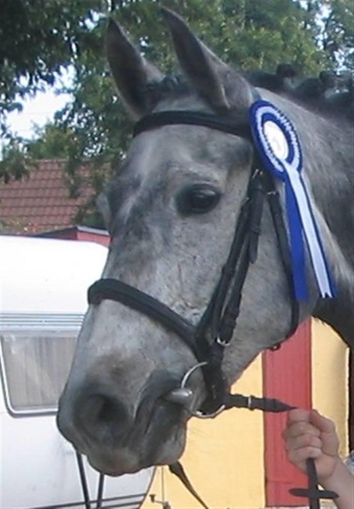 Anden særlig race máshiri †R.I.P† - 11# stævne d. 25/9-05 billede 11