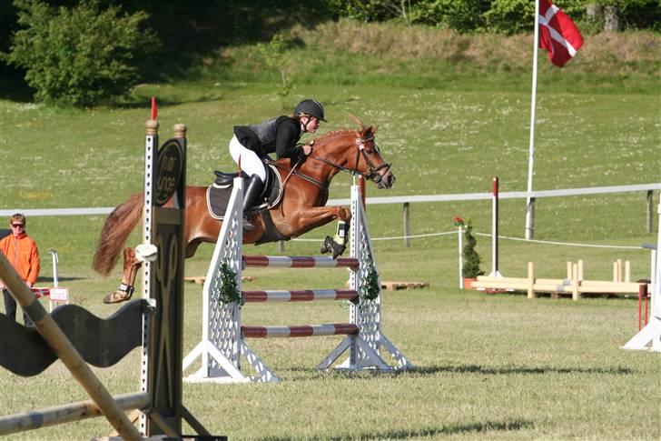 Anden særlig race Buster *solgt - Buster morsø-cup 2009 MB (: billede 7