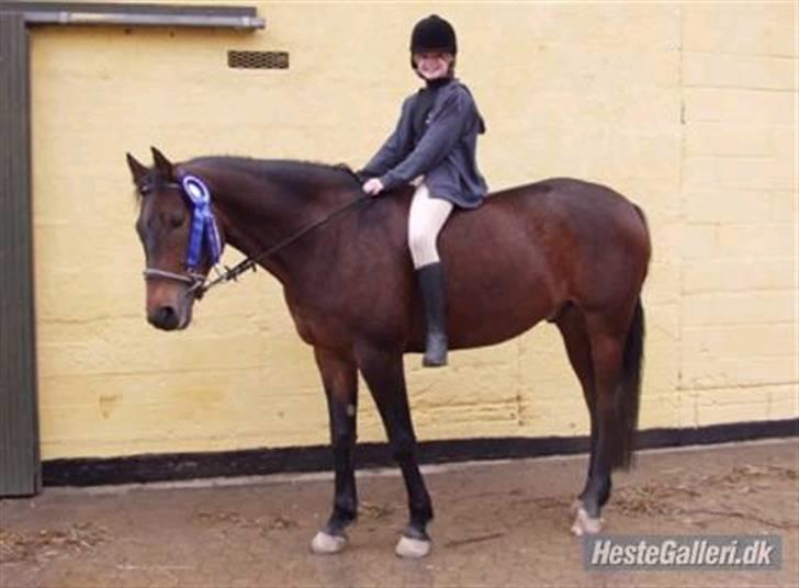 Anden særlig race Chaplin (SOLGT) - 2 plas <3 billede 6