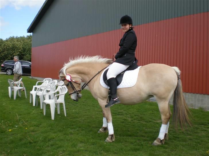Fjordhest Josefine *Fine**Venindes* - Velkommen til Fine´s profil .. her er et billed fra dressurstænet på MARK d. 23/5-09 . fik fik en flot 1.plads. billede 1