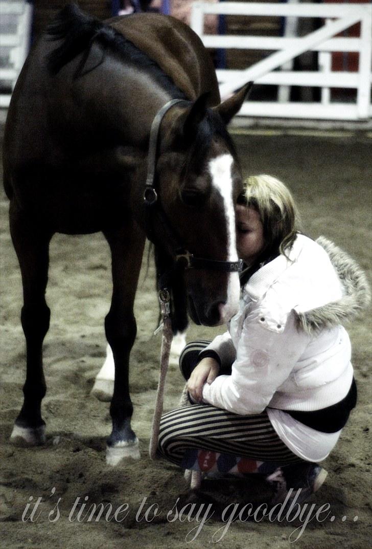 Anden særlig race Ponylands All Star † 06.12.2011 - 1) min allersidste dag med polle. glemmer dig aldrig pony, tak for de bedste 2½ år i mit liv :´D <3 (15. september, 2010) billede 1