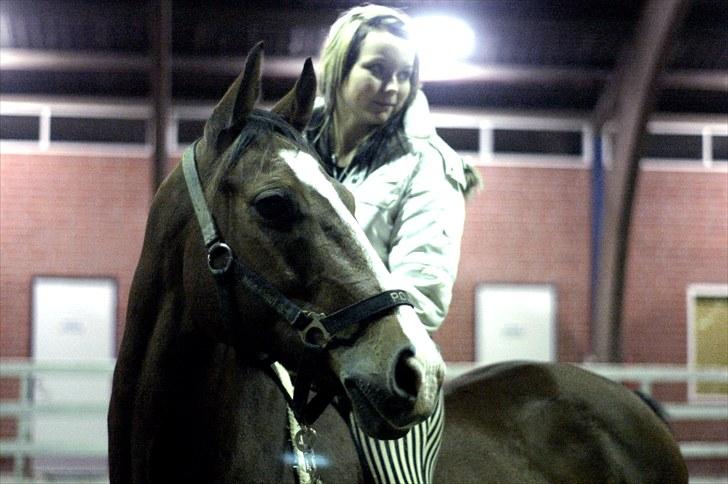 Anden særlig race Ponylands All Star † 06.12.2011 - 5) mig og polle på vores sidste dag sammen. elsker dig pony! <3 billede 5