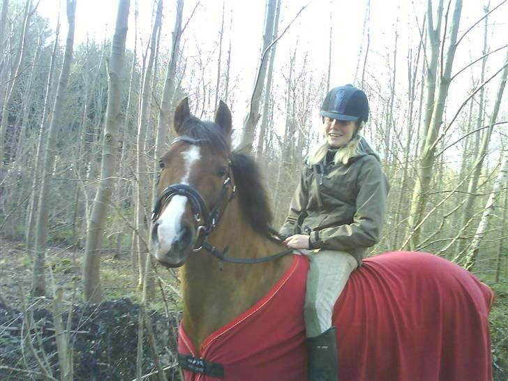 Anden særlig race Agazi (SOLGT) - En lille tur i skoven:-) billede 12