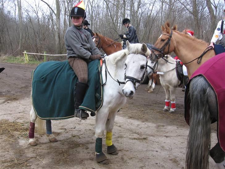 Anden særlig race Bonnie <3 - MIg og Bonnie til fastelavn (: vi red et program sammen med Helene og jazzmin hvor vi blev ved med at vinke til dommeren, og dommeren blev forvirret <3  billede 16