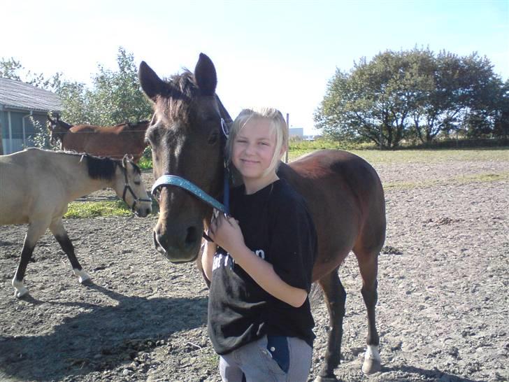 Anden særlig race Marco billede 11