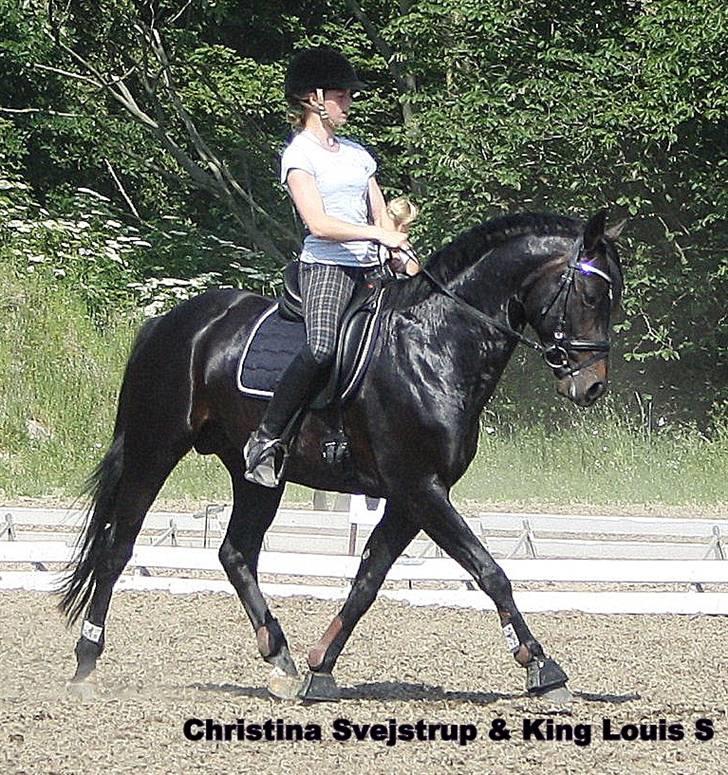 Tysk Sportspony King Louis S [AVLSHINGST] - Kursus oppe ved Vibsen 2009 :) <3 billede 19