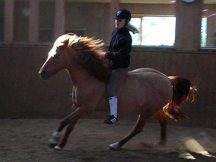 Anden særlig race Shadow af Grandlygard RIP - #19 Årh shadow.. jeg er så lykkelig over at jeg havde din tillid i mine arme, jeg vil give dig alt hvad jeg har.. Hele mit hjerte ligger hos dig minskat! billede 19