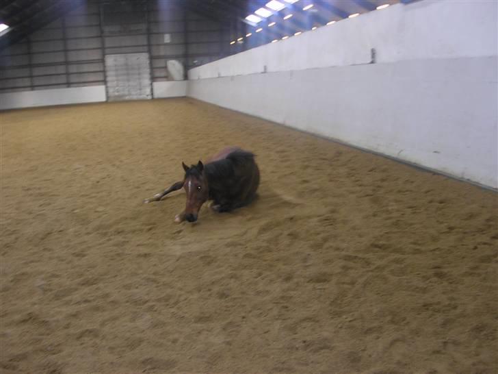 Traver Believe On Me !DØD! :'( - Er på vej op fra en rulle tur! billede 15