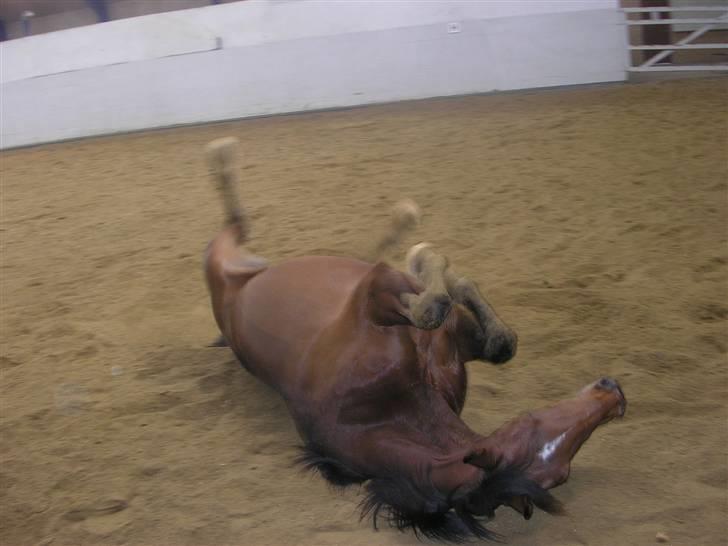 Traver Believe On Me !DØD! :'( - Rullepølsen :D hehe han er bare dejlig :D billede 16