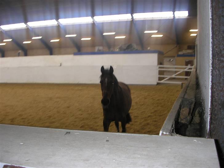 Traver Believe On Me !DØD! :'( - Nej, der var du moar.. billede 18