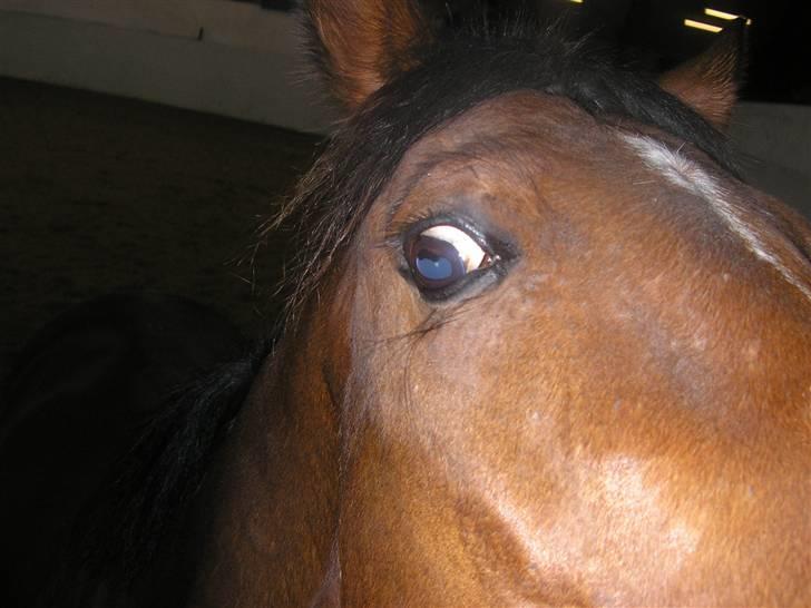 Traver Believe On Me !DØD! :'( - Møs møs mor..  billede 19