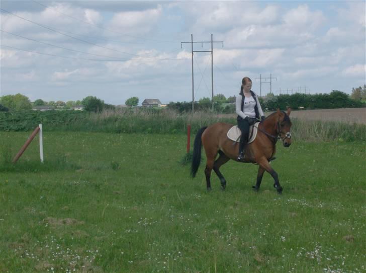 Anden særlig race Chiquitha R.I.P minskath† billede 4