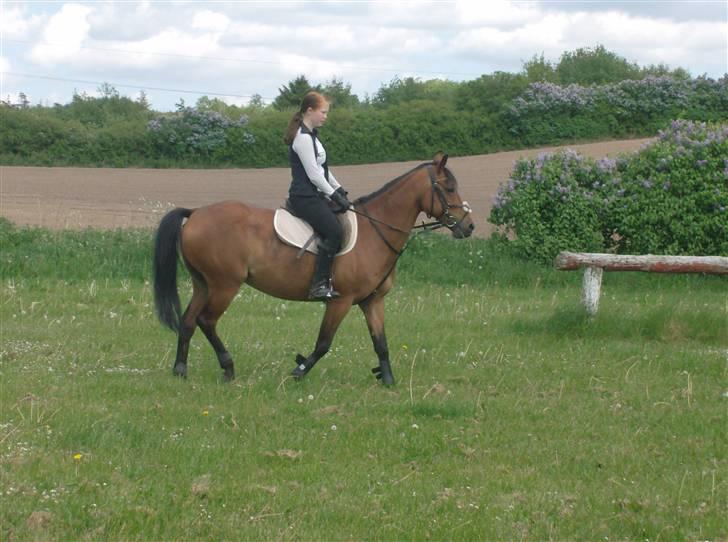 Anden særlig race Chiquitha R.I.P minskath† billede 8