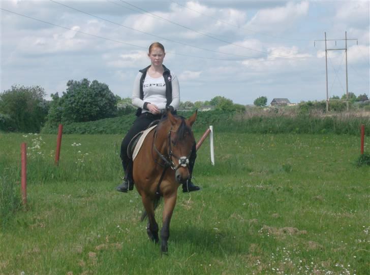 Anden særlig race Chiquitha R.I.P minskath† billede 9