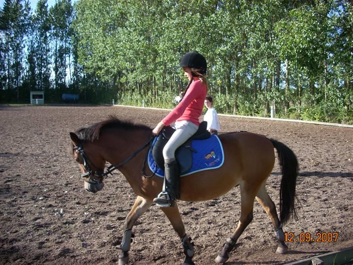 Anden særlig race Buster Larsen *SOLGT* - Shit jeg sidder grimt :D Det er blevet bedre! billede 11