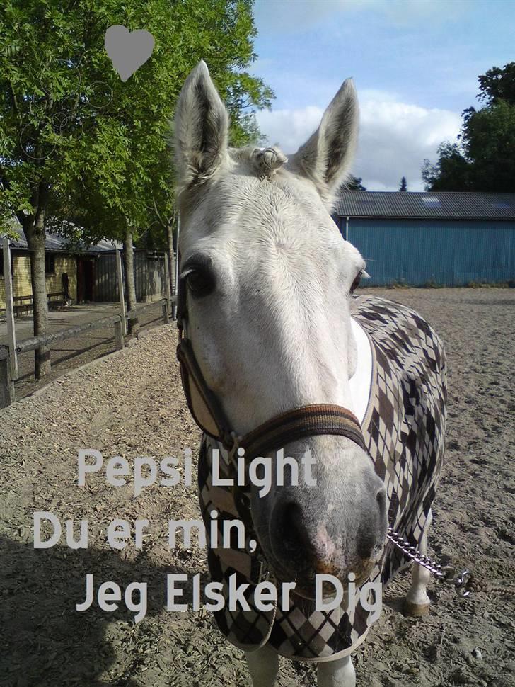 Connemara Pepsi Light *Aflivet* billede 1