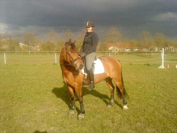 Anden særlig race Brutus billede 2