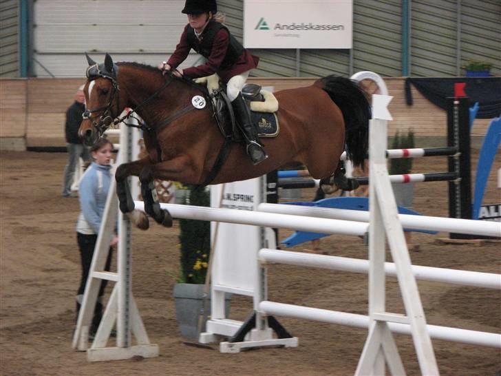 Anden særlig race Cindy R.I.P - Cindy og jeg i MA i SØR (landsstævne) billede 1