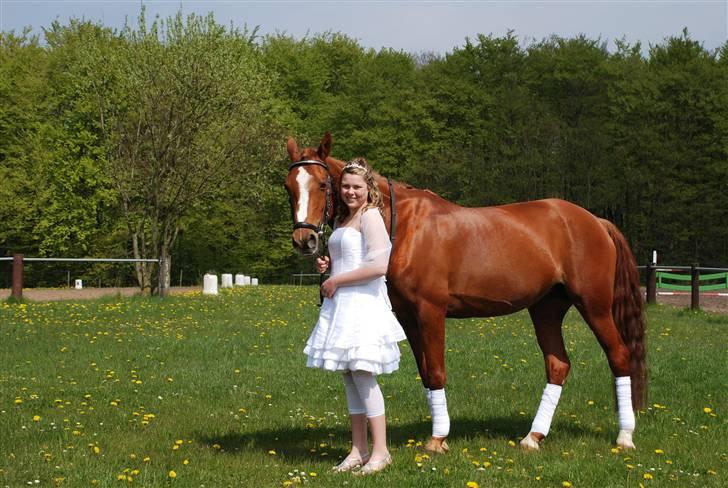 Anden særlig race chanell billede 4