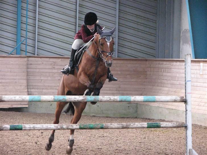 Anden særlig race Cindy R.I.P - Opvarmning til MA SØR (landsstævne) billede 2