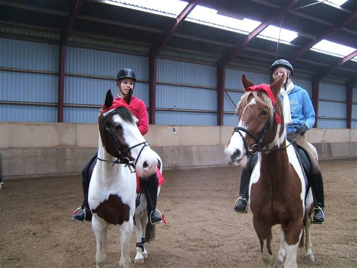 Anden særlig race Bronco - solgt. - Bronco, jeg, Strato & johanne, vinteren 07 (: billede 18