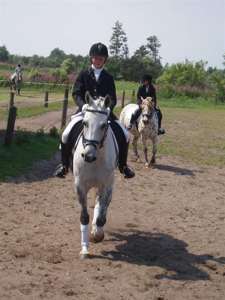 Anden særlig race Åge<33 - opåvarmning i Hodsager foto: mette ;) billede 8