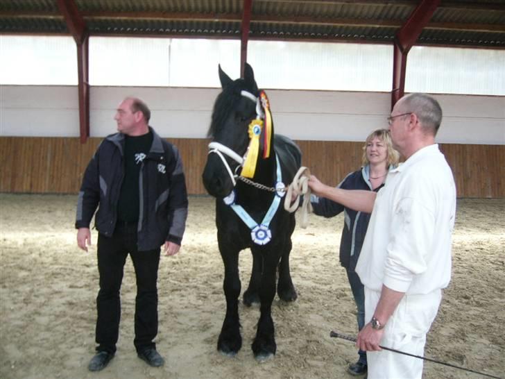 Frieser Manolito R.I.P - Best in show. billede 17