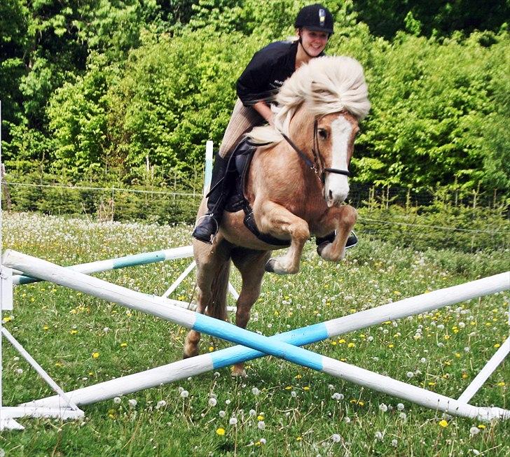 Islænder Storgaardens Glama - hehe på junior ridelejr, jeg må godt nok sige at det var godt at tøjlerne ikke sad i bidringene <3 billede 3