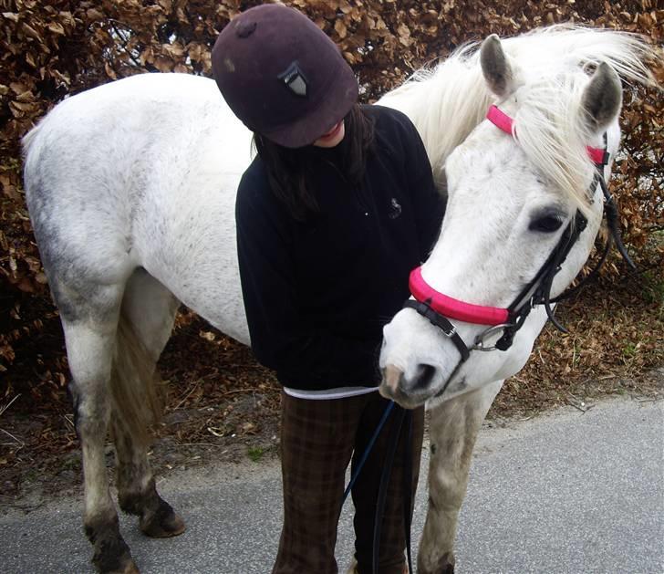 Anden særlig race Cherie - nr. 4 billede 4