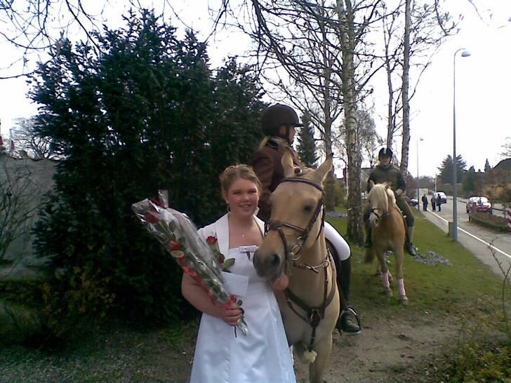 Anden særlig race Yellow lady * Aflivet * - Konfirmation - CILLA OG ELSKEDE LADY ! <3 - Jaa hun kunne ikke stå stille den dag ! :D billede 5
