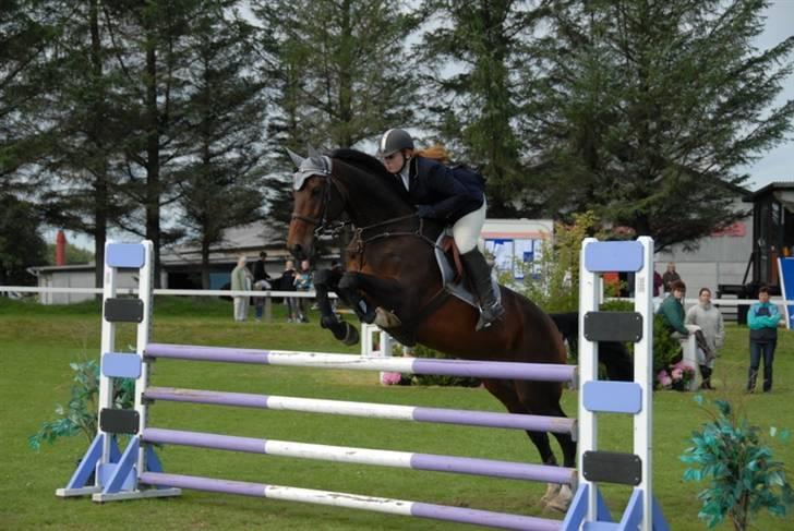Dansk Varmblod Ofelia - Holdmesterskab billede 20