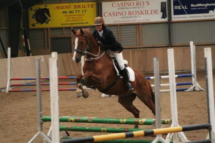 Dansk Varmblod Vestgårdens Aragorn  - Stævne på HIRK :D  billede 7