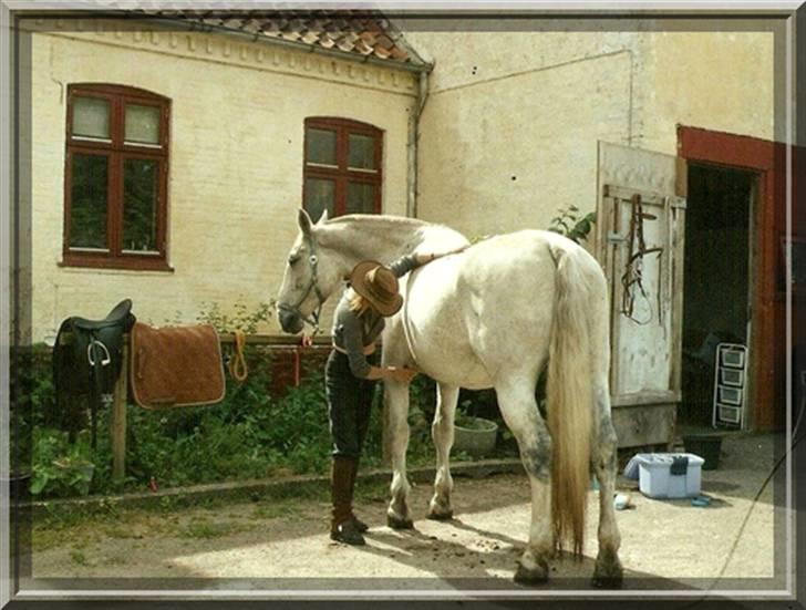Oldenborg Klak (død) - min ene sommerfold. billede 13