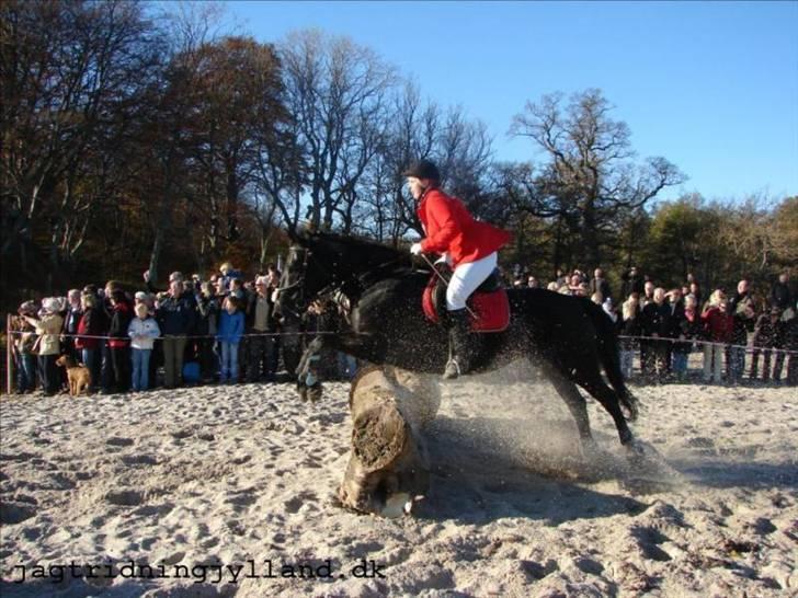 Oldenborg Blackie - "Måske er det slet ikke så slemt endda" billede 14