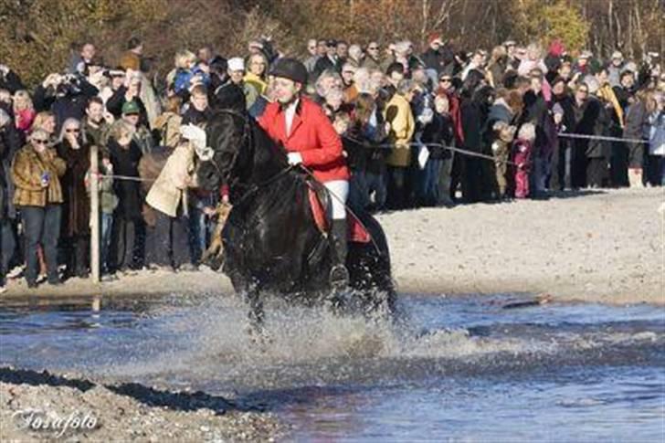 Oldenborg Blackie - og igennem vandet kom vi også:-) billede 15