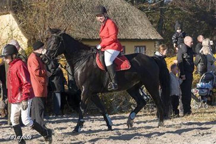 Oldenborg Blackie - En velfortjent pause billede 16