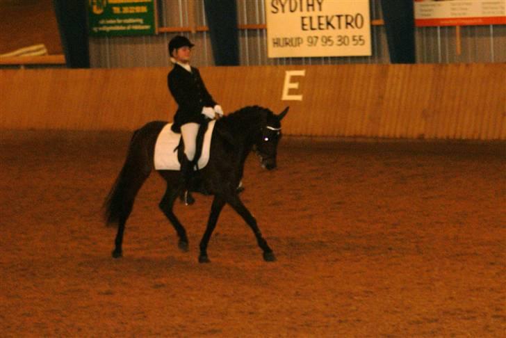 Tysk Sportspony *Hovgaards Walk on Top* SOLGT - Distrriksstævne - LA1 - 4. plads, selvom jeg red fejl.. billede 6