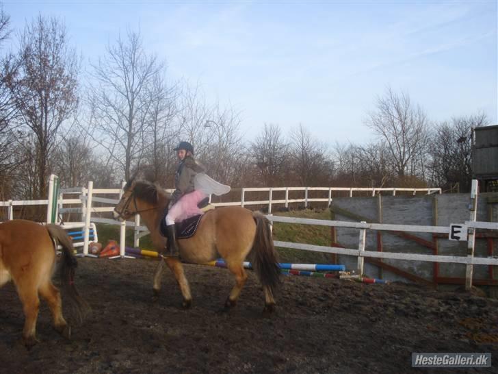 Anden særlig race Tyson <33   - fastalarvn :D mig som fe og ham som min skønne hest:D hihi billede 19