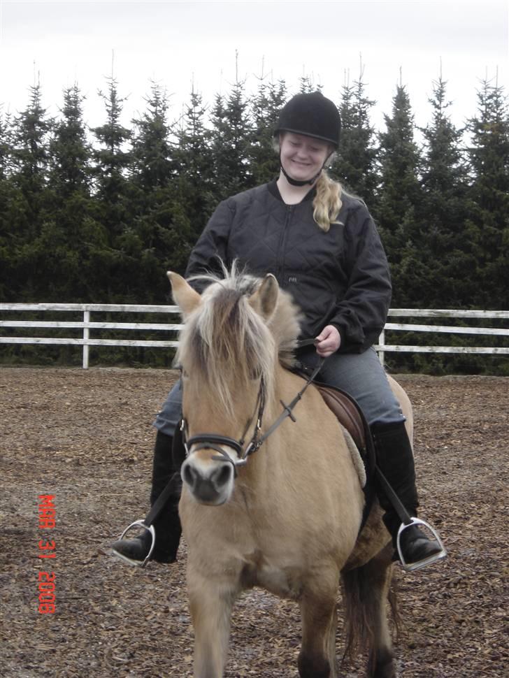 Fjordhest Tamra ~ Pensioneret ~ Rip min smukke engel - Her ser i så mig og min nye mors første ridetur efter jeg er kommet hjem til hende... det var hyggeligt (billedet er taget d. 31/3-08) (billedet er taget i magretelunden) billede 4