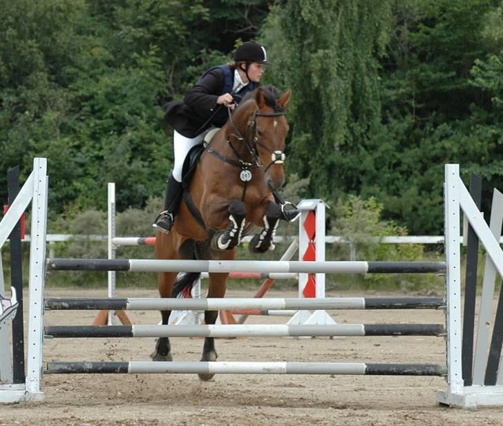 Anden særlig race Romeo R.I.P. - Romeo og Jette til SM 2007 billede 5