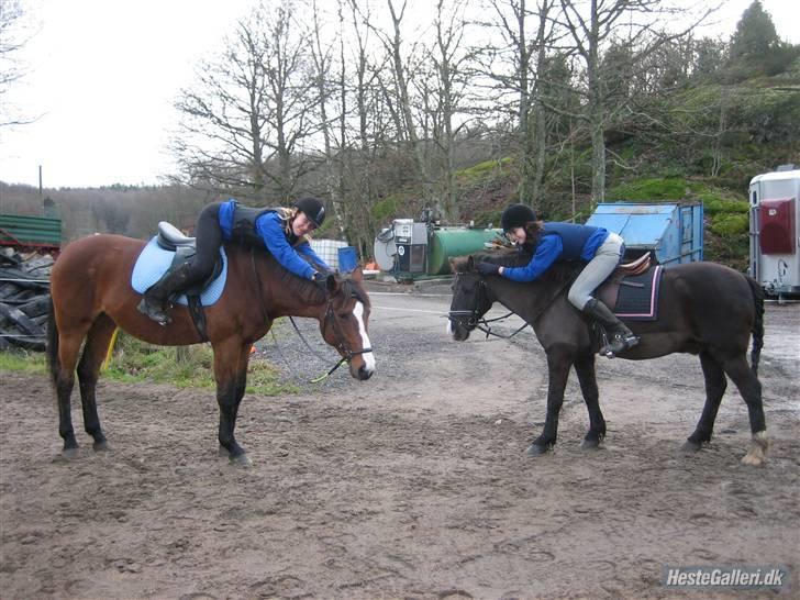 Anden særlig race Push Off - yeaaah billede 7