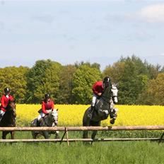 Holstener Krudtuglen's Challenger