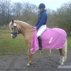 Anden særlig race Emir