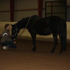 Anden særlig race Esmeralda <3 †18/11-10†