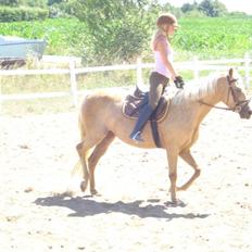 DSP Fredens banditta