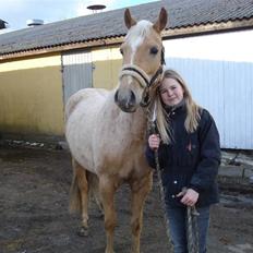 DSP Fredens banditta